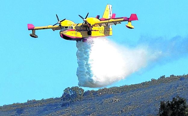 Los incendios forestales crecerán un 50% a final de siglo y llegarán al Ártico, según la ONU