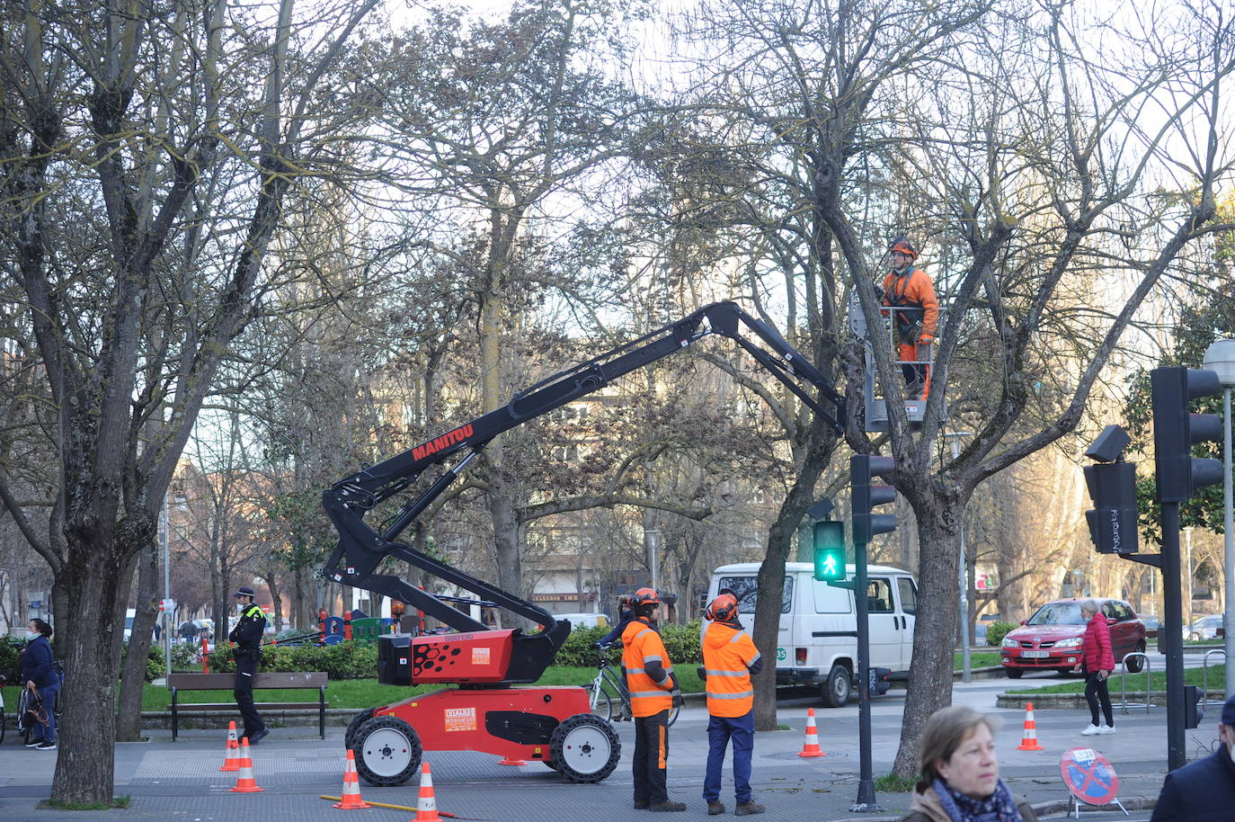 El Ayuntamiento inicia el mantenimiento del arbolado con podas por toda Vitoria