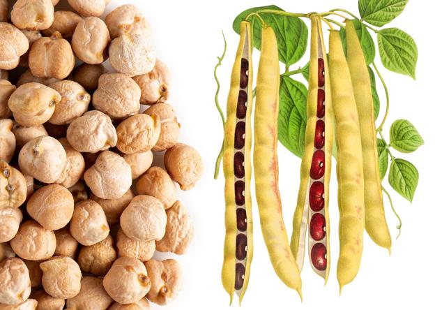 ¿Es realmente vitoriano el cocido vitoriano?