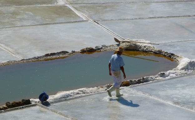 EHUko ikertzaileek bakterio espezie berri bat topatu dute Añanako Gatz Haranean