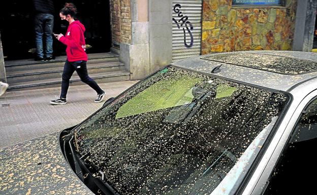 «Se producirán más episodios de calima en Euskadi, aunque no sabemos cuándo»