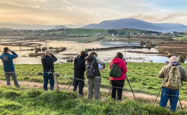 Observación de aves, talleres de fotografía y remo en Marina de Cudeyo