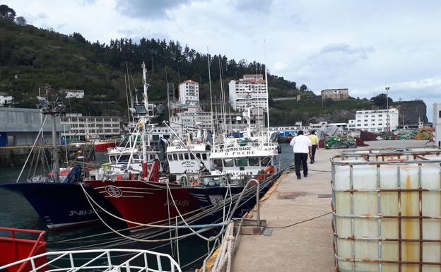 La flota vasca de bajura se suma el lunes a la costera de la anchoa y pone fin a la huelga