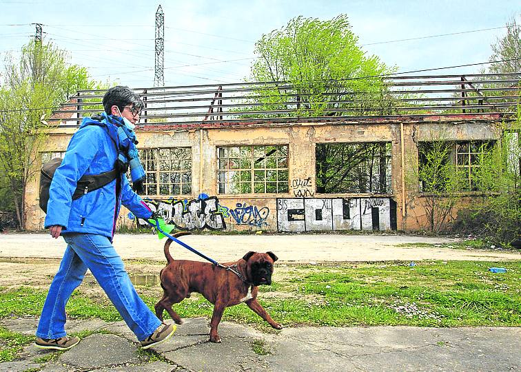 La descontaminación y los precios del mercado, principales trabas