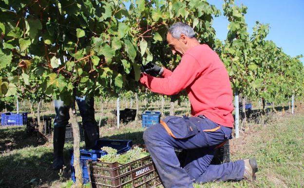 Ayala recupera la Ruta del Txakoli
