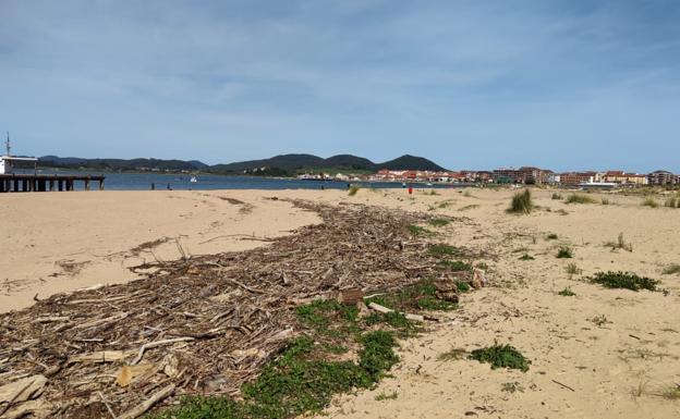 Limpieza a contrarreloj para que la playa de Laredo esté lista en el puente