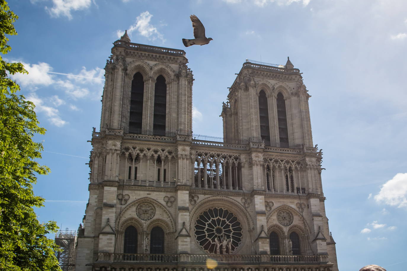 La catedral de Notre Dame, tres años después de su incendio