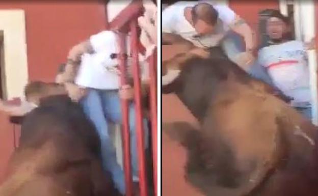 Muere tras ser corneado brutalmente en un encierro en Valladolid