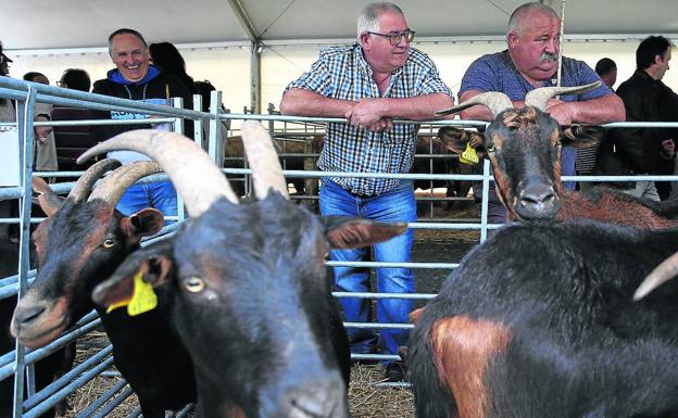 Los ganaderos alertan en la feria de Trucíos sobre la falta de relevo generacional