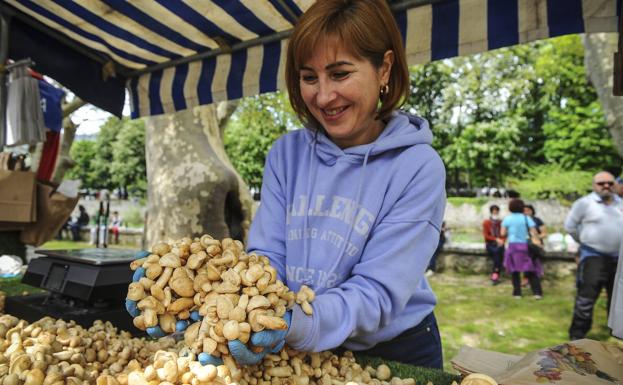 Rebrote en Kuartango