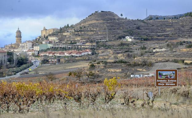 'Viñedos de Álava' llega a Bruselas con el veto del Ministerio al plan rupturista con Rioja
