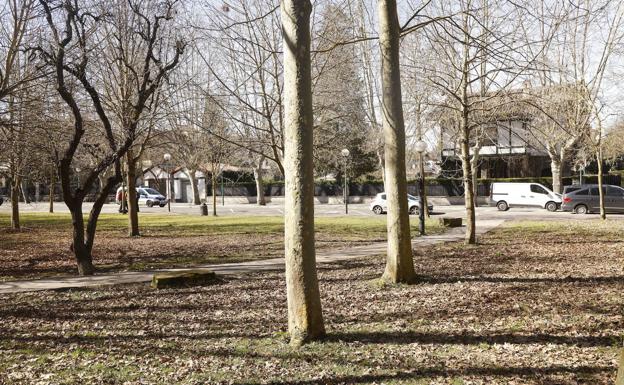 Investigan a un hombre de 67 años por intentar llevarse a dos menores en un parque de Vitoria