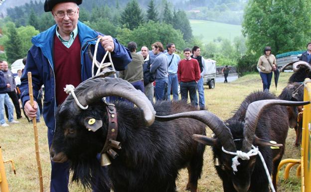 La carne de la cabra azpi gorri aspira a hacerse un hueco entre los productos gourmet