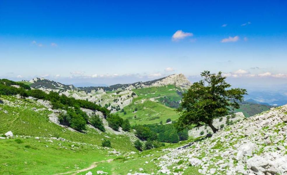 La senda de Basatxi en el Gorbea