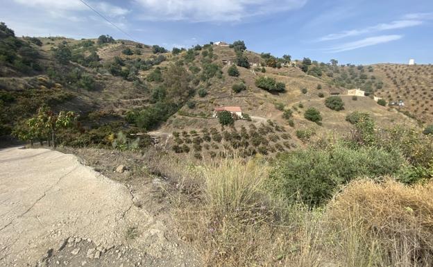 Mata a un vecino de 76 años en una disputa por las lindes de unas tierras en Málaga