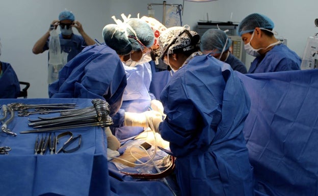 Cerca de 200 vascos esperan un trasplante de órganos