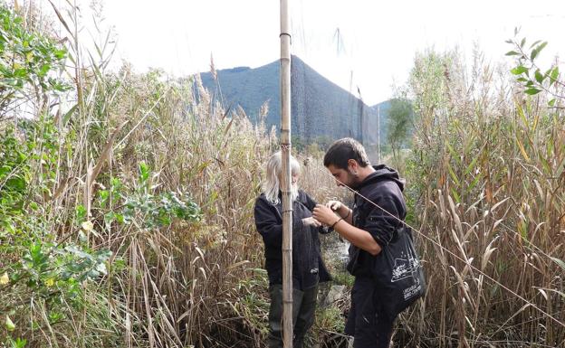 Urdaibai Bird Center inicia su programa de formación en turismo de naturaleza