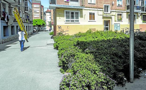 «Las ratas se comen el cableado eléctrico y nos quedamos sin luz cada dos por tres»