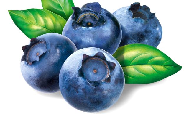 Los beneficios de los arándanos para la salud