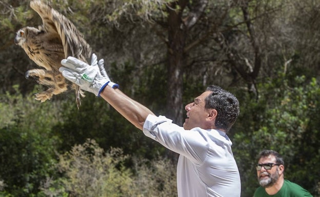 ¿Qué pasará en Andalucía? Un presidente y tres posibles escenarios