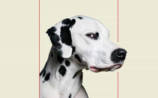 'La gran serpiente' de Pierre Lemaitre