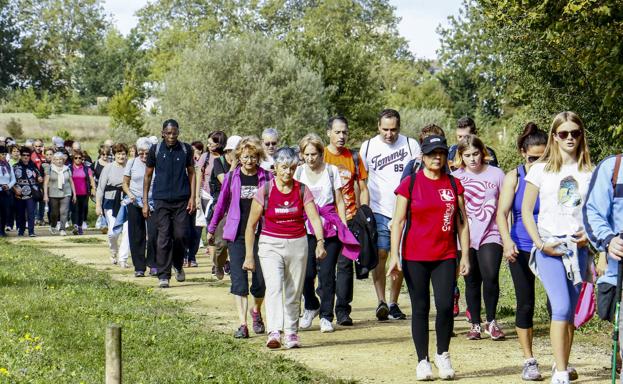 Caminata por nuestro pulmón verde