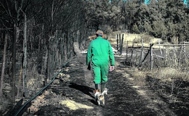 Los incendios en Zamora arruinan el turismo del lobo y negocios rurales