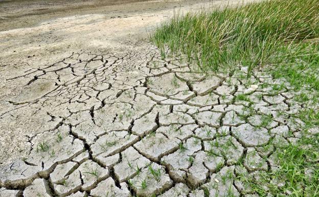 Luchar contra la crisis climática nos hará menos pobres