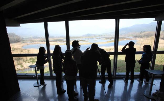 La restauración de las marismas de Gautegiz recibirá 482.000 euros de los fondos europeos