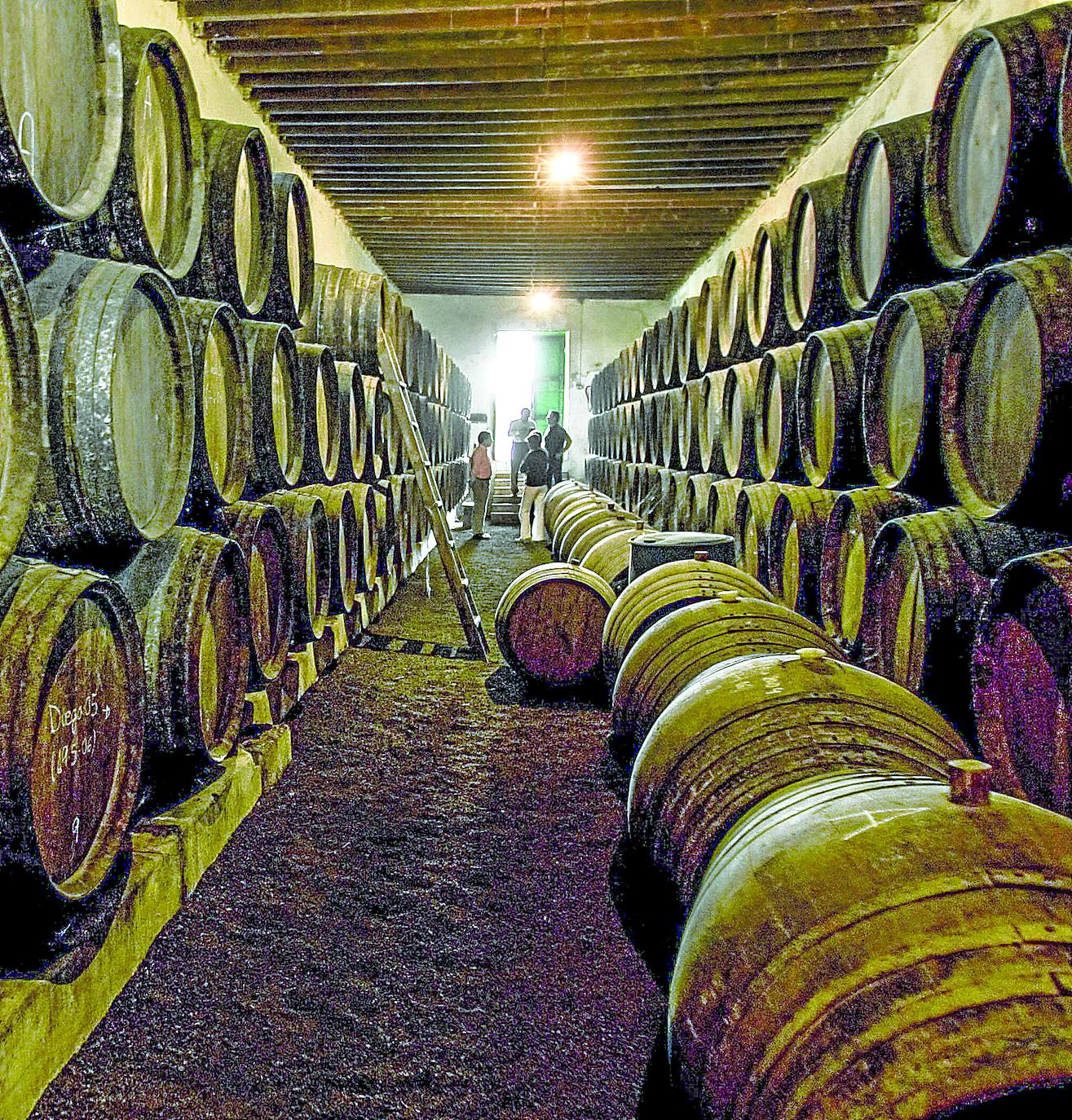 ABRA prevé que Lakua autorice un consejo regulador alavés «de forma automática»