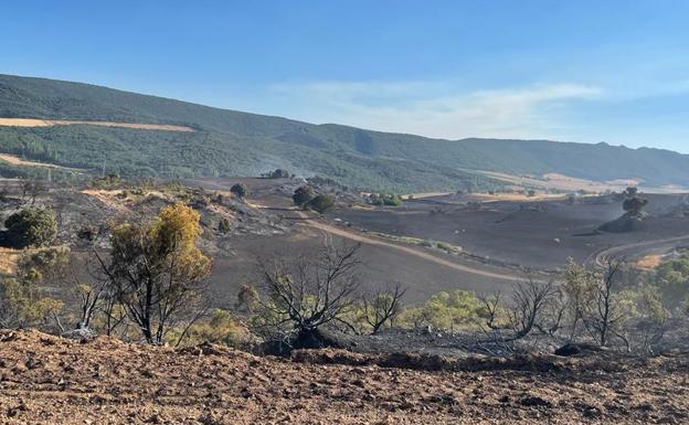 Un incendio en Treviño por las altas temperaturas quema parcelas de cereal y monte
