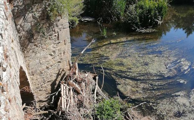 Trespuentes denuncia el abandono y la suciedad del puente
