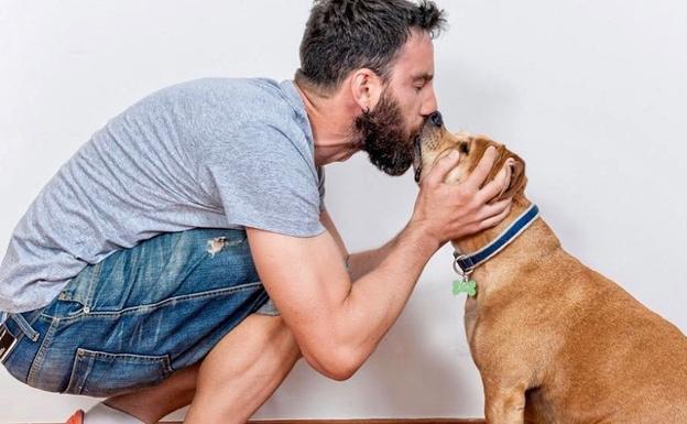 Dani Rovira, desolado por la muerte de su perro Buyo: «Me has roto el alma»