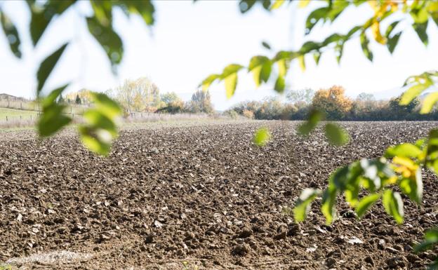 La agricultura ecológica gana terreno en Euskadi
