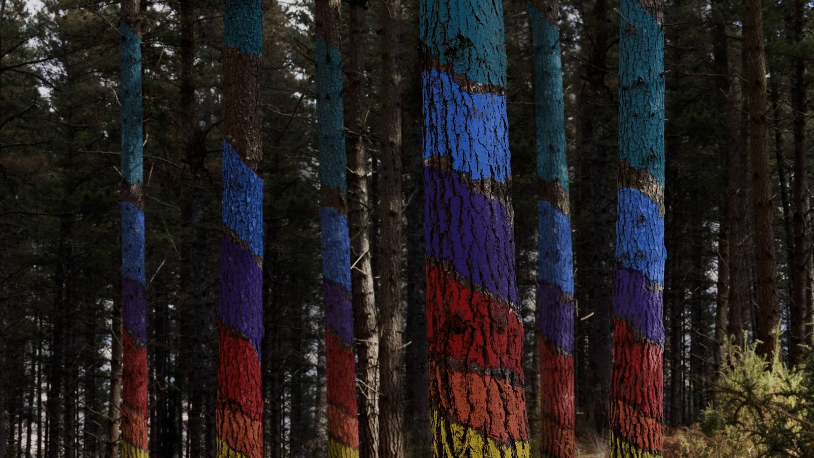 El nuevo Bosque de Oma reabrirá el lunes con los conjuntos más icónicos de Ibarrola