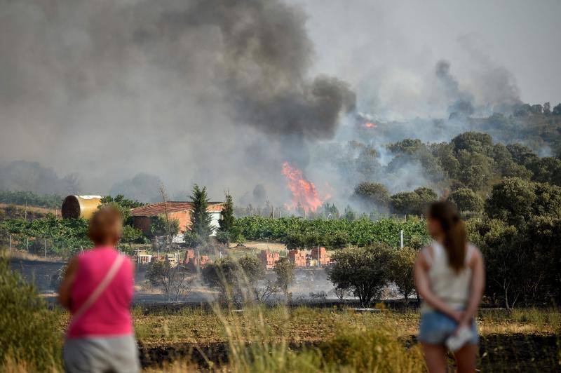 Los incendios devoran Zamora