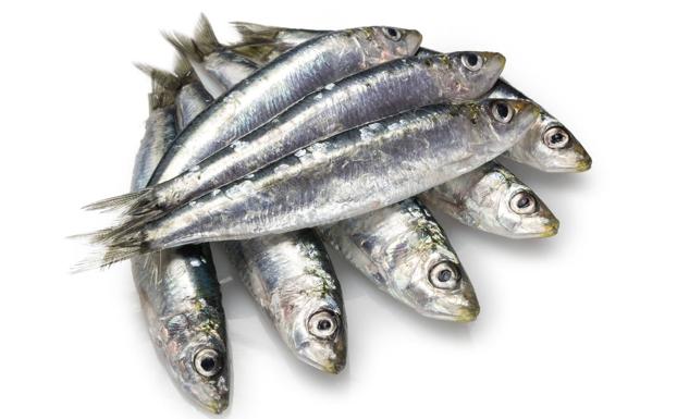 Sardinas para sumar omega3 y para disfrutar del verano