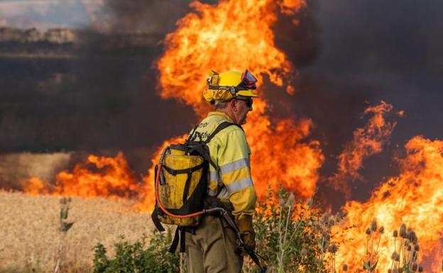 Castilla y León culpa al «ecologismo extremo» del abandono forestal en plena ola de incendios