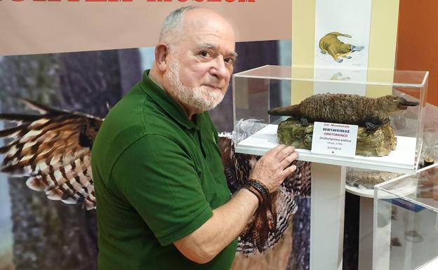 El Museo de Ciencias Naturales de Mañaria negocia su traslado a Durango