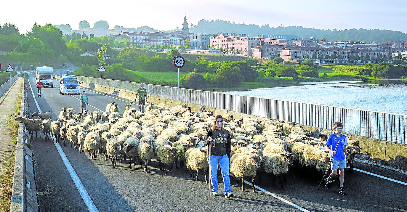 Una trashumancia a la vuelta de la esquina