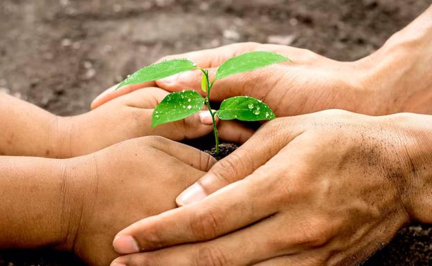 Los sapiens vivimos más para ayudar a los demás