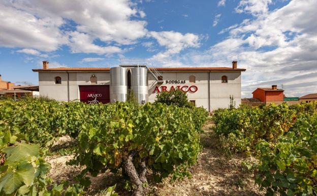 Rioja Alavesa suma otros cinco viñedos singulares de entre 60 y 100 años