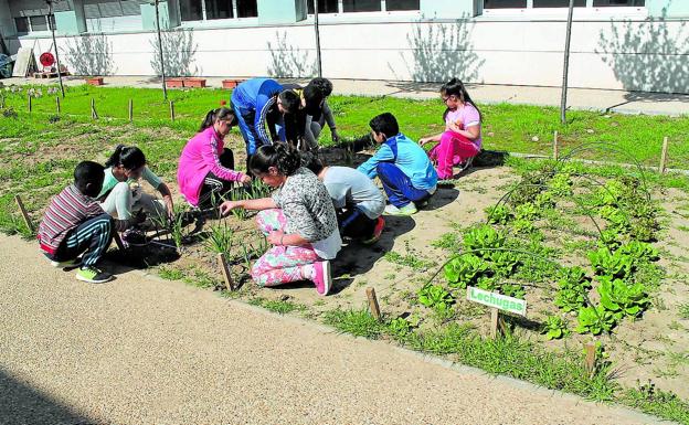 Ministry Of English se posiciona para gestionar de nuevo los huertos escolares