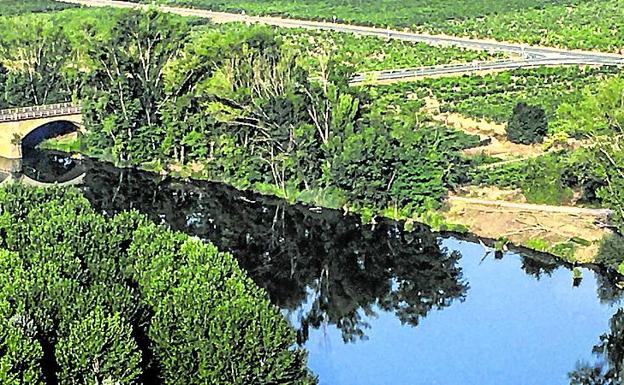 Vecinos de Baños de Ebro denuncian la tala «indiscriminada» de chopos en las dos orillas