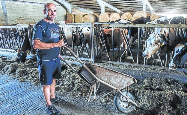 Ganaderos alaveses sacrifican sus vacas por los altos costes y la baja rentabilidad de la leche