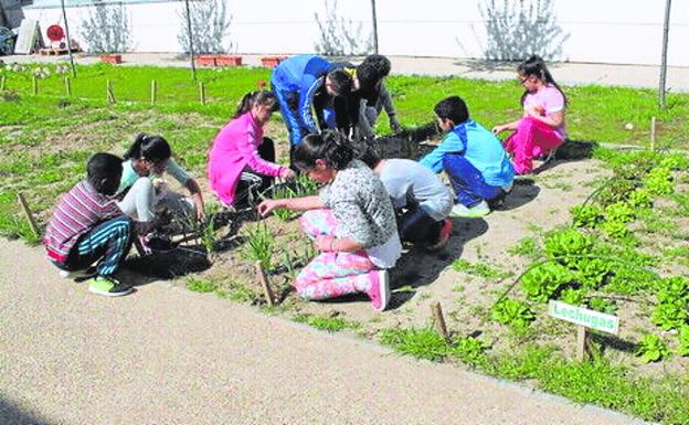 Miranda recibe 30.000 euros para realizar programas y acciones de educación ambiental