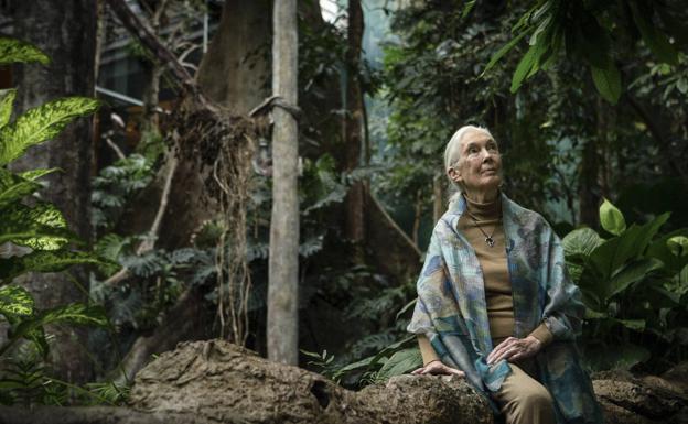 El FesTVal se estrena en Dendaraba con la proyección de cuatro documentales