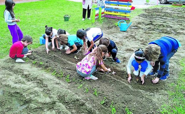 IU exige sanciones para la empresa que gestionaba los huertos escolares