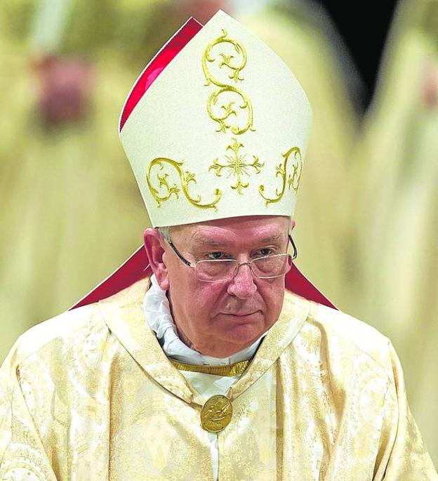 Un cardenal en la sombra