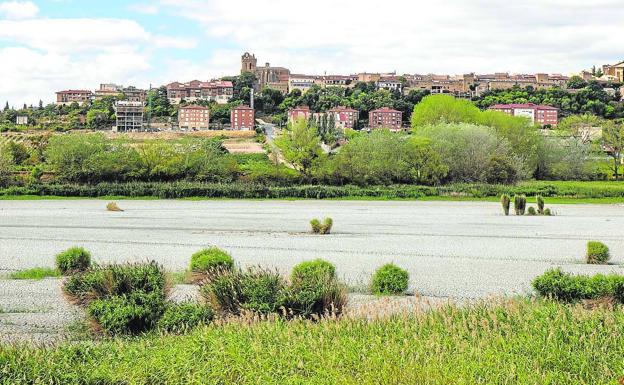 La laguna grande de Laguardia tendrá una isla artificial el próximo invierno